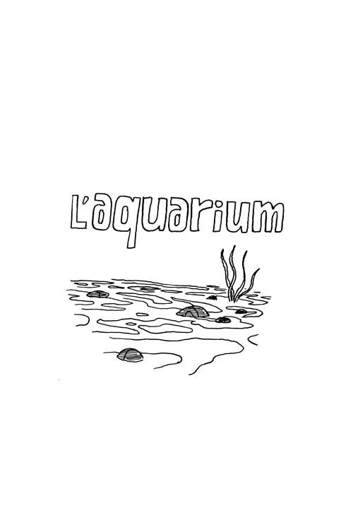- L'aquarium- page 1