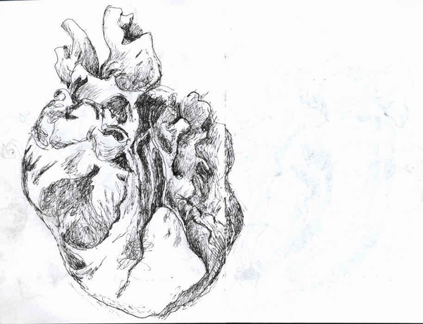 - IN DE VLEESTUIN- page 11