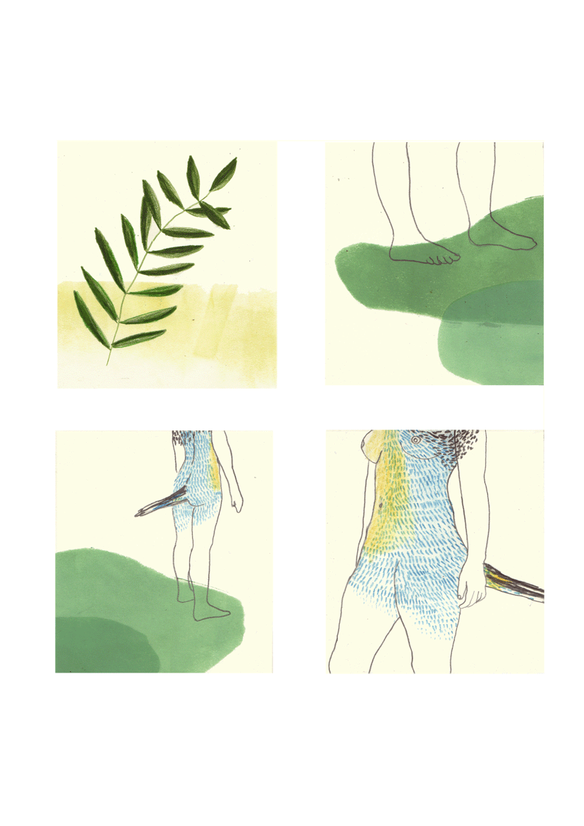 - L'oiseau d'Ourdi- page 11