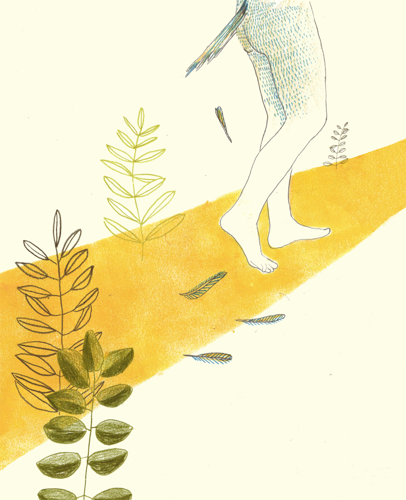 - L'oiseau d'Ourdi- page 12