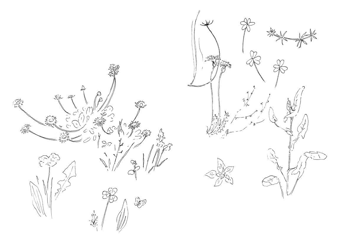 - Extraits de carnet de croquis - page 3