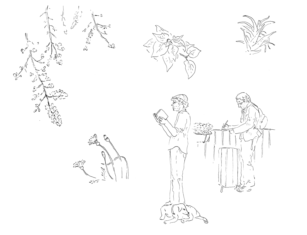 - Extraits de carnet de croquis - page 2