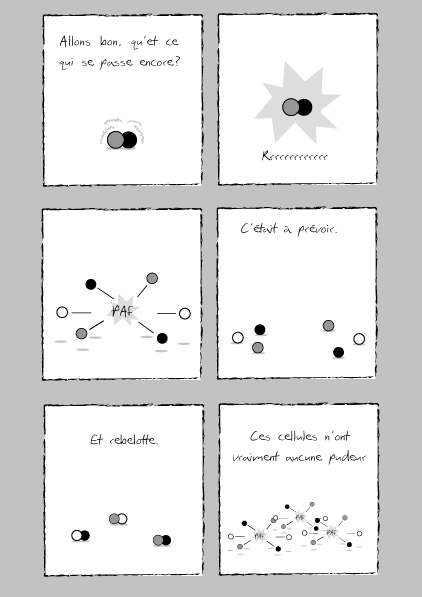 - La Bible en carton- page 7