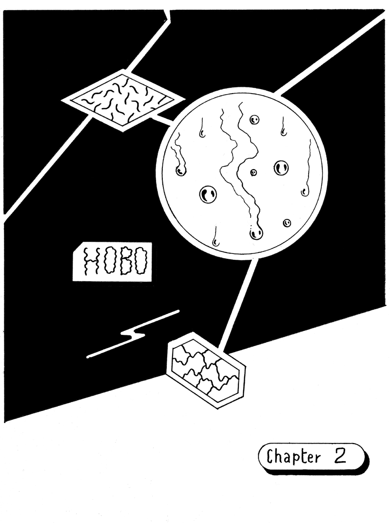 - HOBO- page 17