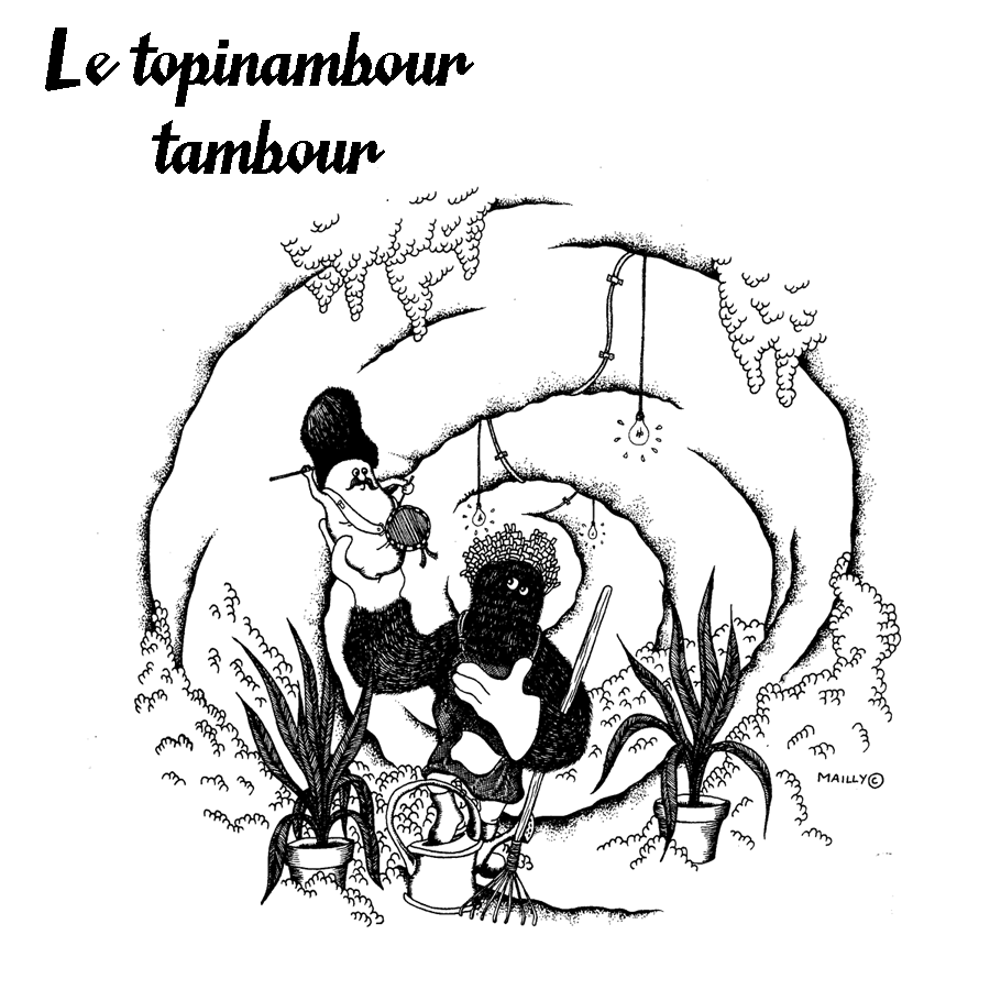 - Étude graphique "Lucinienne"- page 3