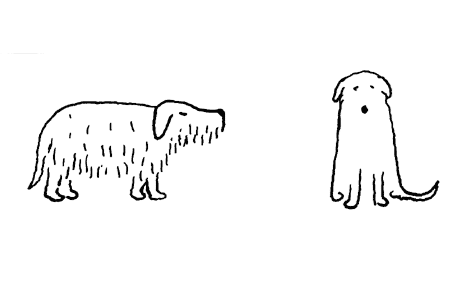 - Youri se montre- page 5