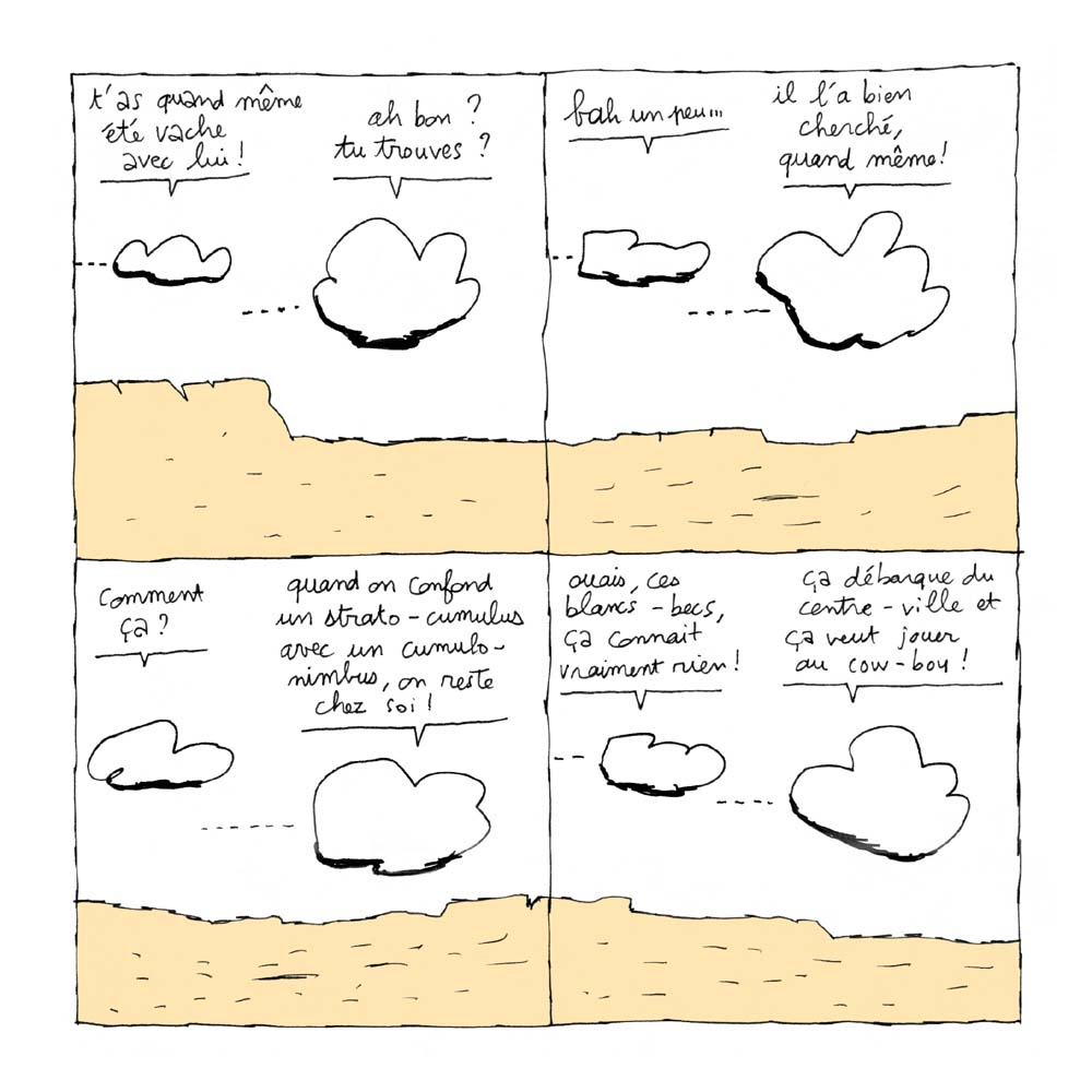 - Western coquillettes- page 15