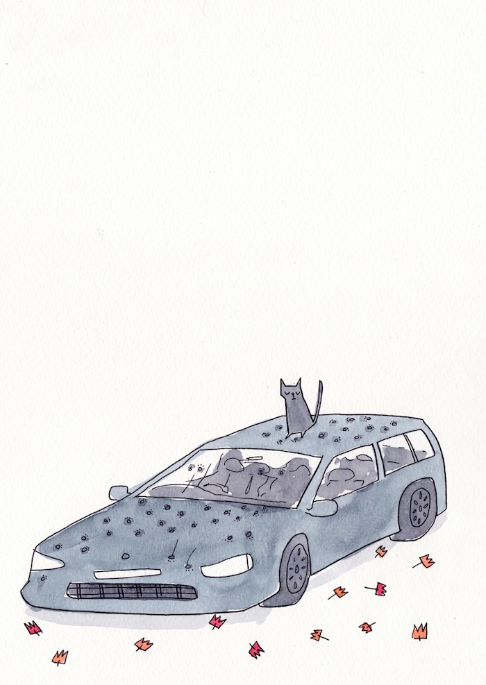 - Cat Island- page 24