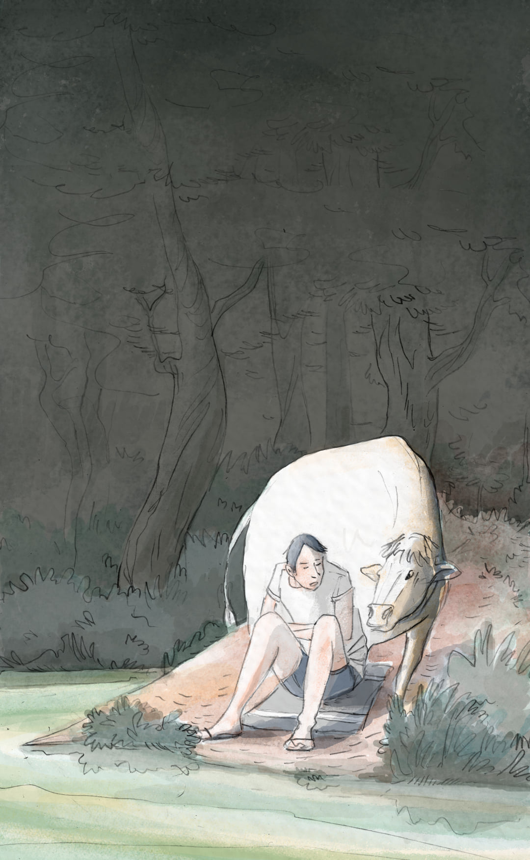 - Illustrations- page 2