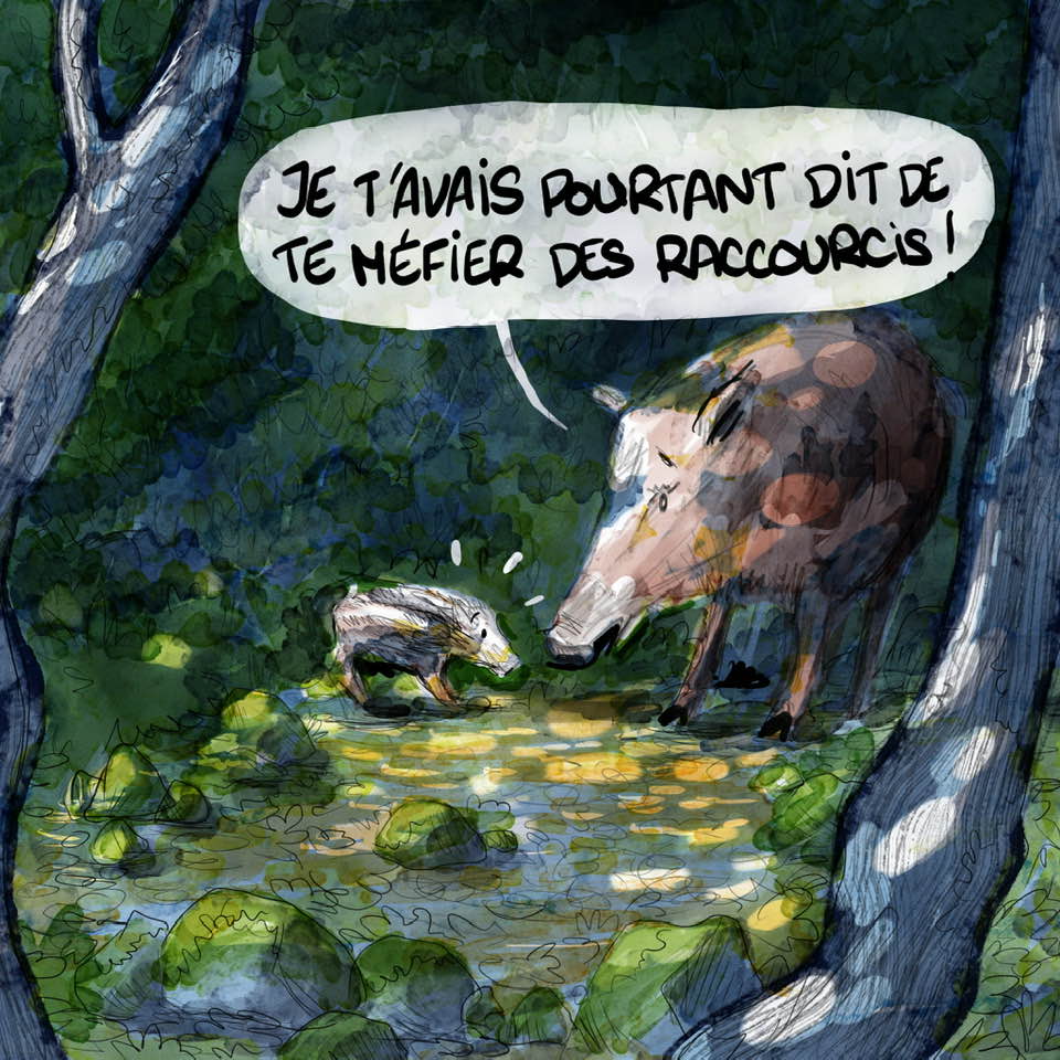 - Rencontre en forêt- page 6