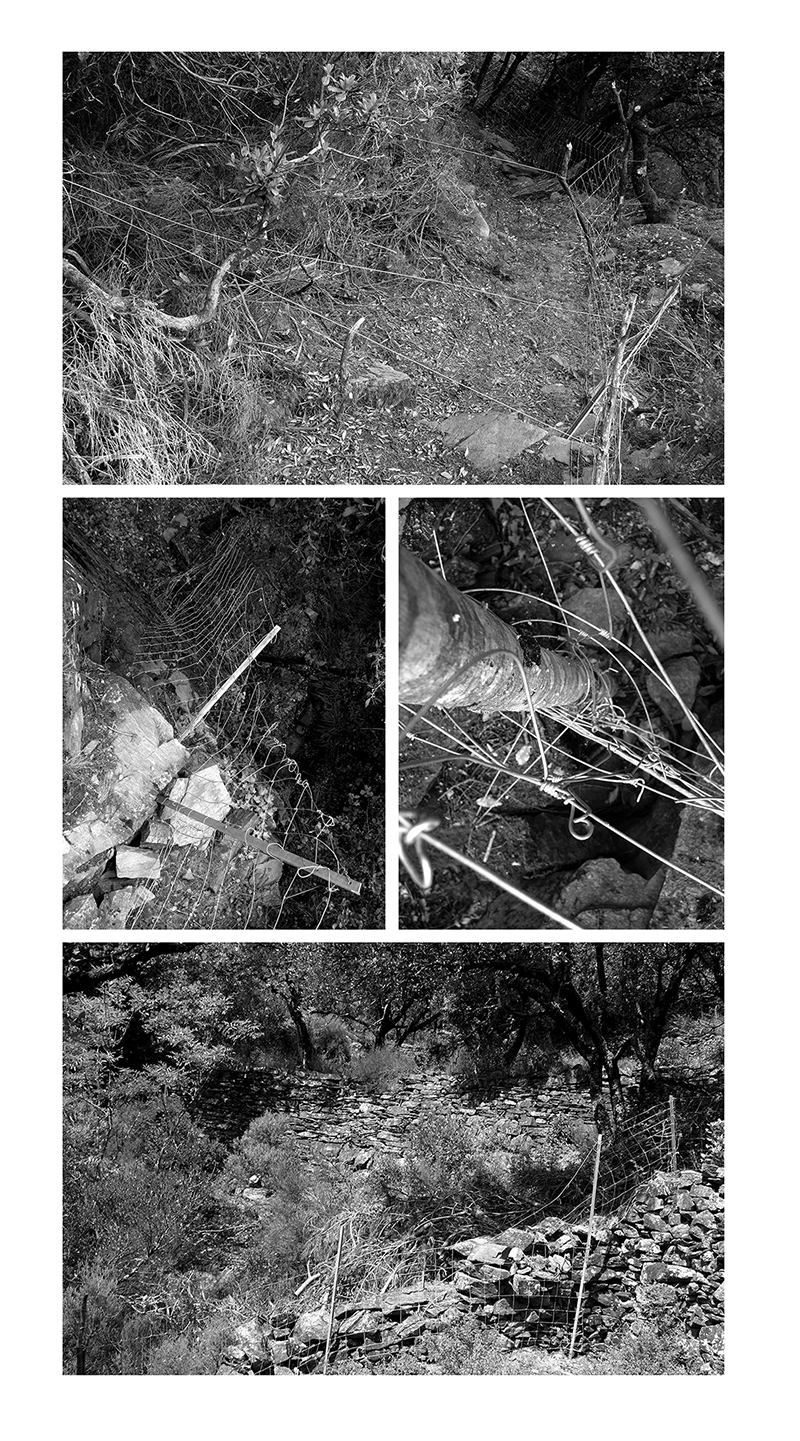 - LE TERRITOIRE PARTAGÉ - Carnet de cambrousse- page 4