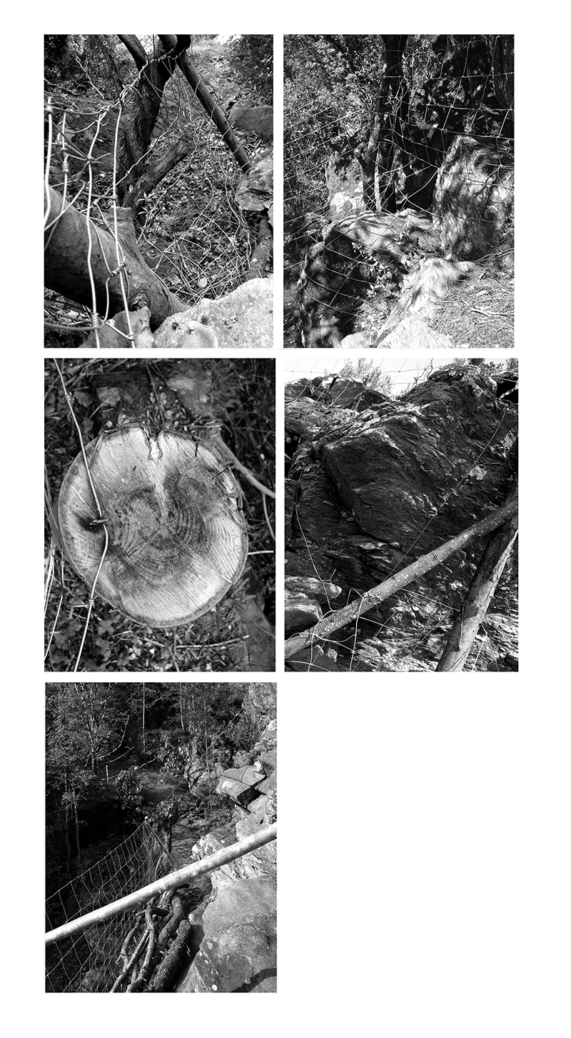 - LE TERRITOIRE PARTAGÉ - Carnet de cambrousse- page 6