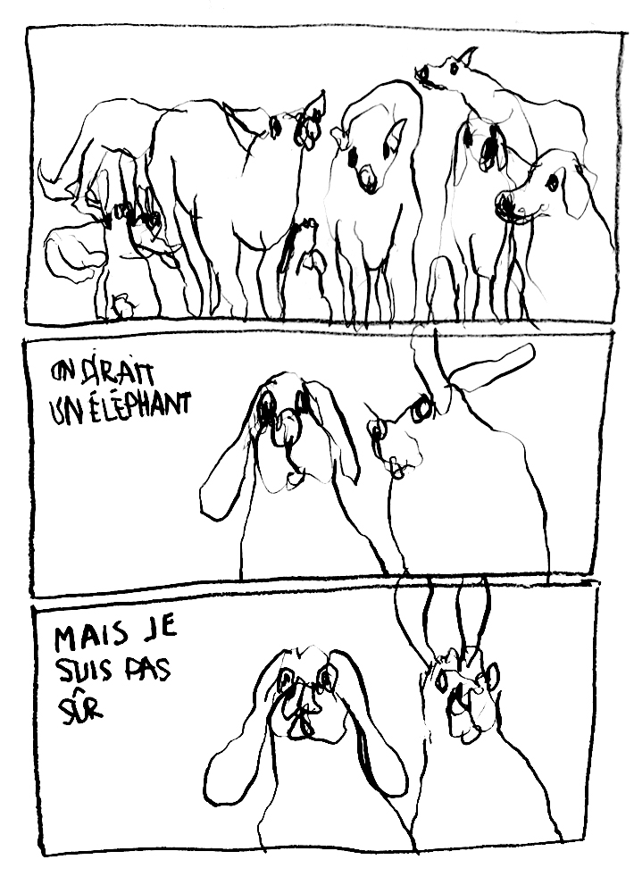 - Spectacle vivant à l'attention des animaux- page 13