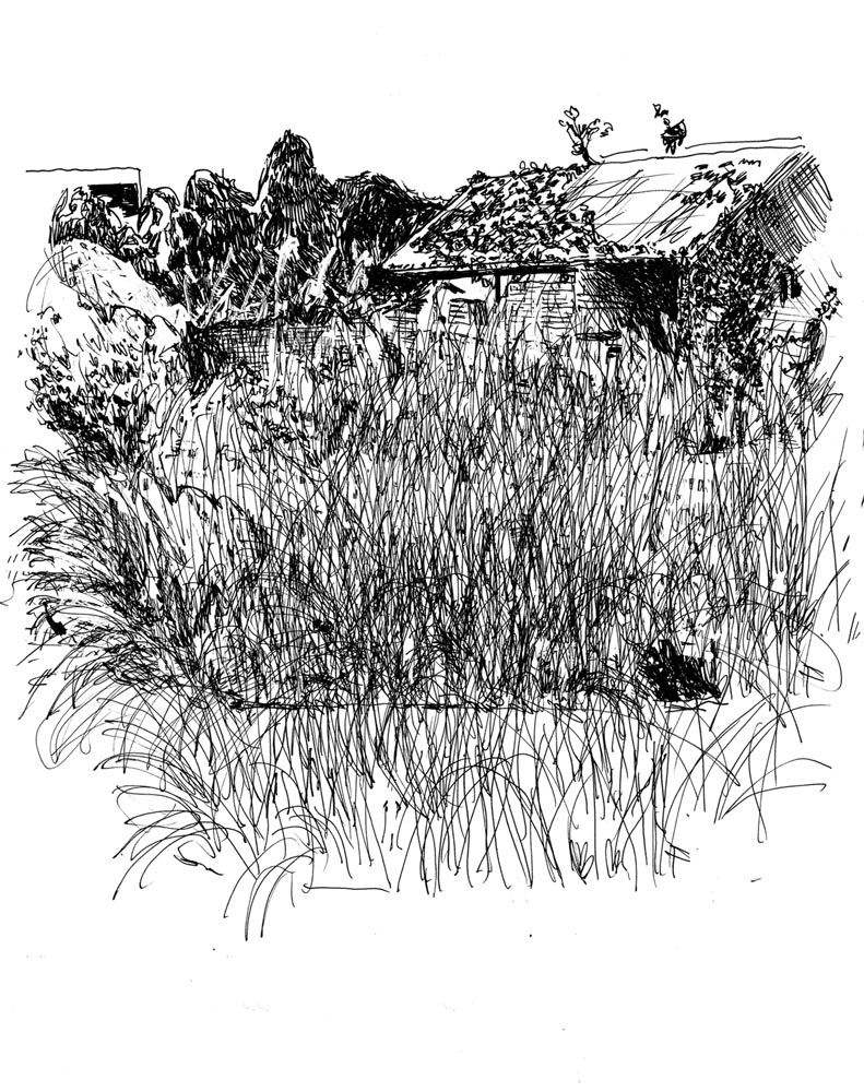 - Après la catastrophe- page 13