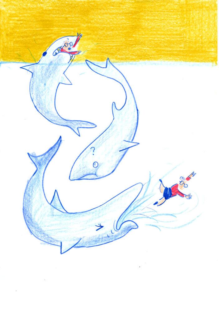 - Le dentier- page 17