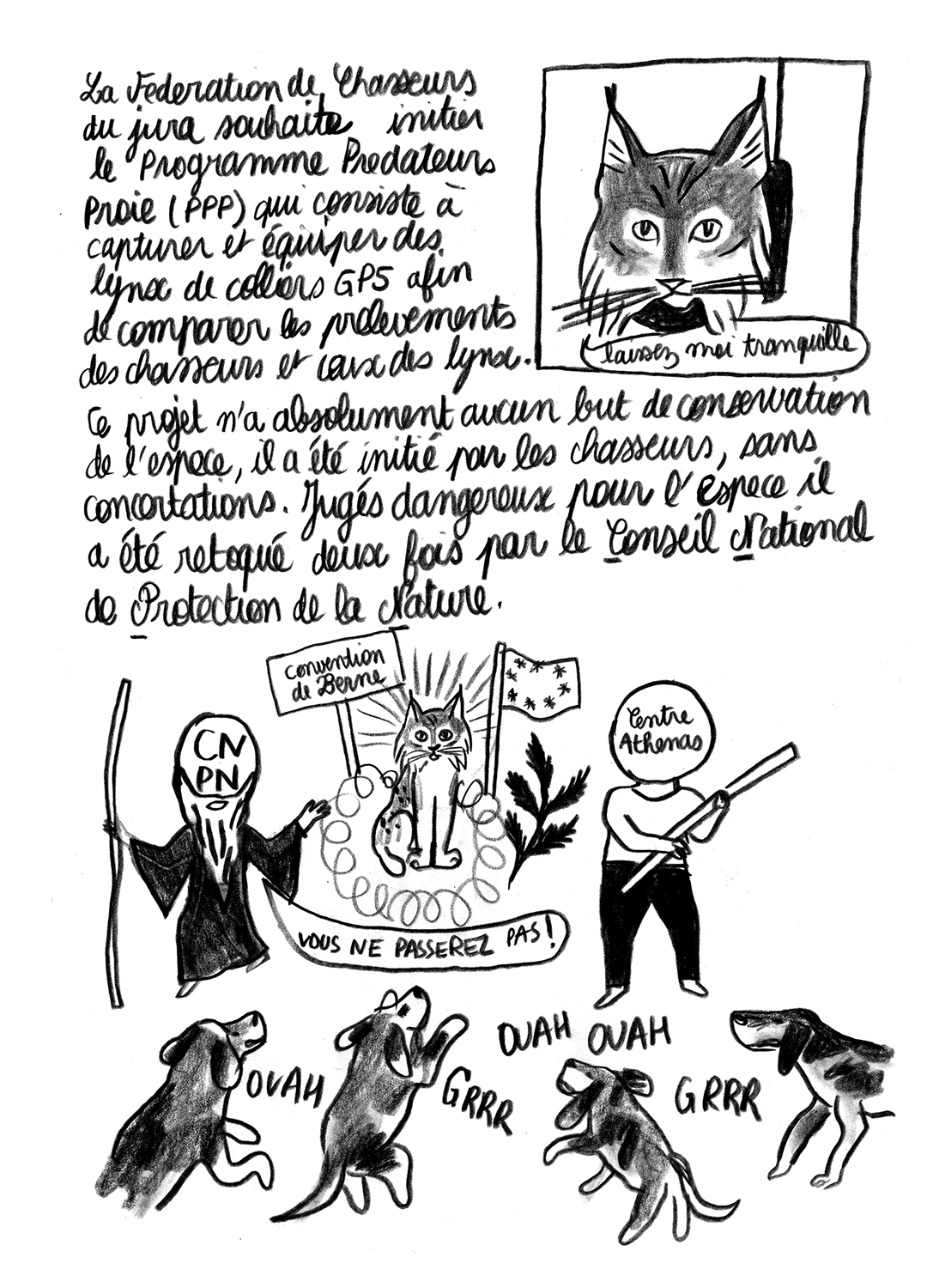 - Lynx en danger- page 18