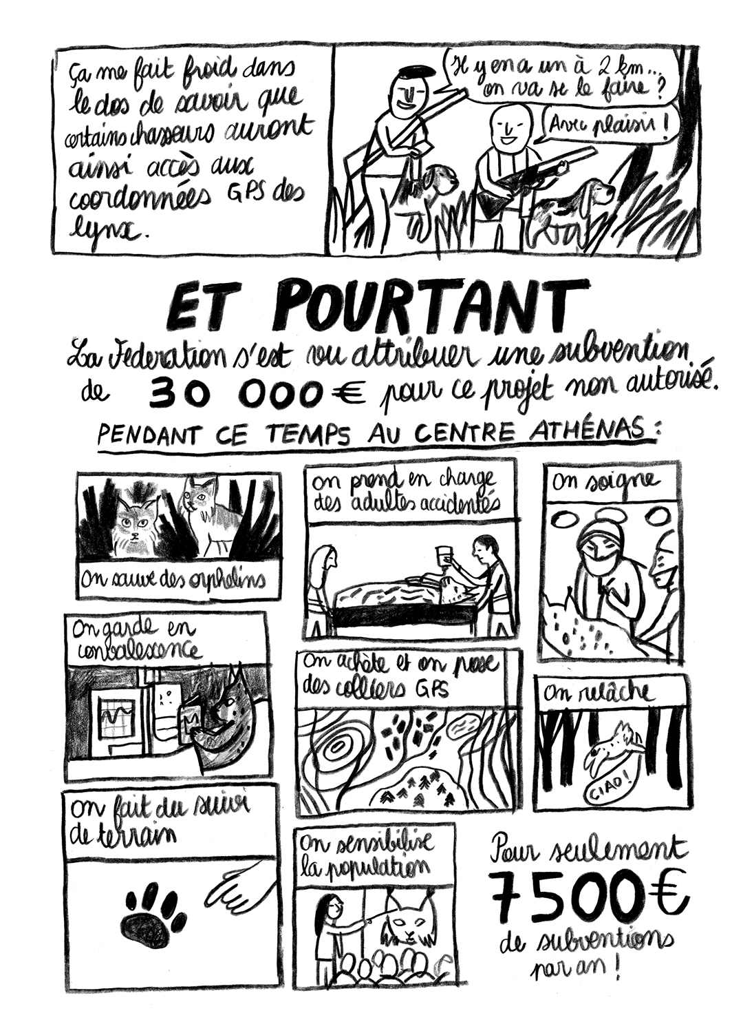 - Lynx en danger- page 19