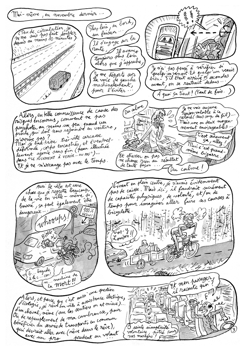 - L'APOCALYPSE LENTE - Carnet de cambrousse- page 3