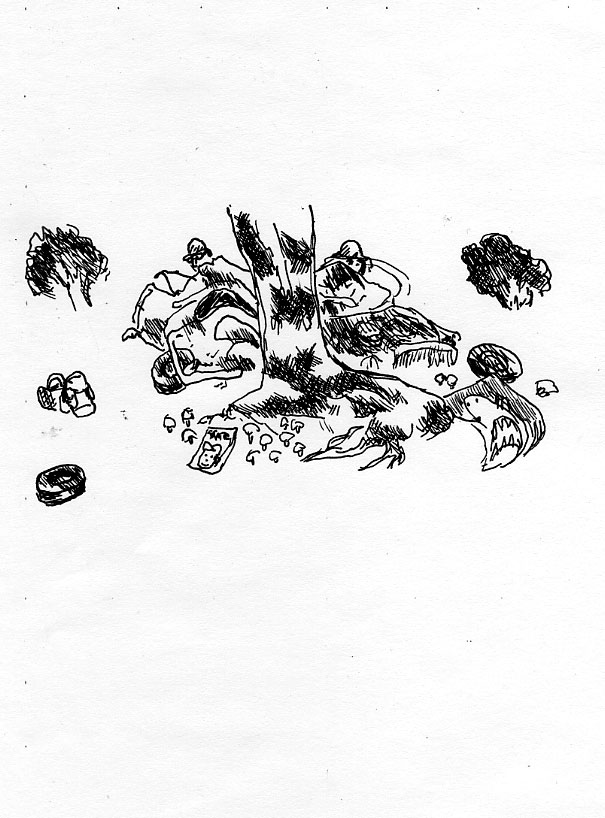 - Cueillette - (24h 2009)- page 19