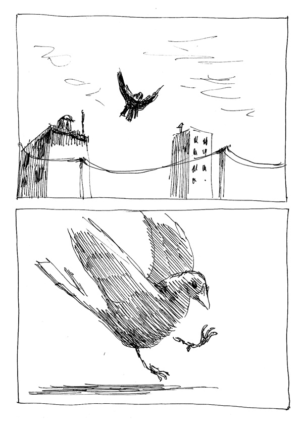 - L'Oiseau- page 20