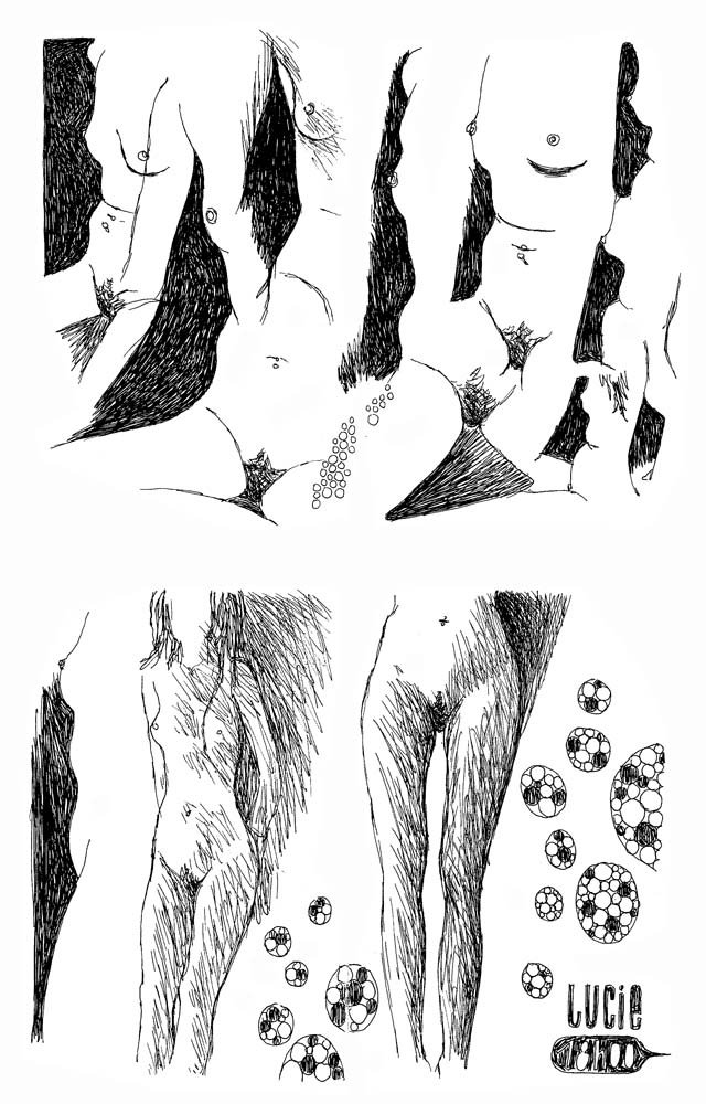 - 2010 (tout)- page 157