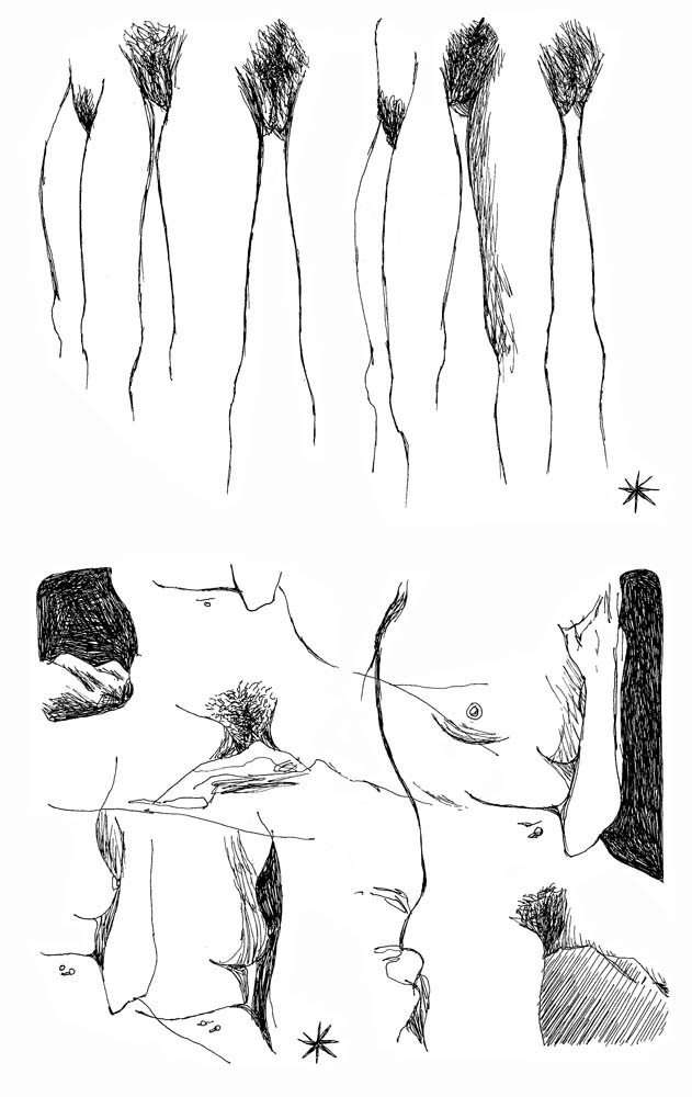 - 2010 (tout)- page 177