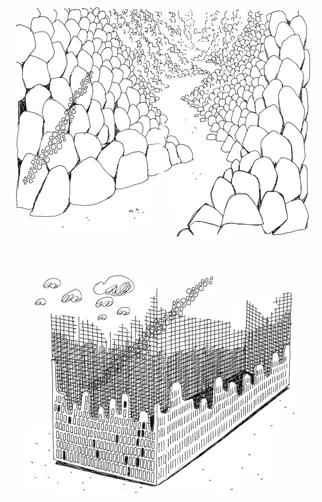 - 2010 (tout)- page 202