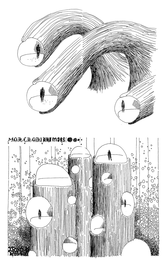 - 2010 (tout)- page 36