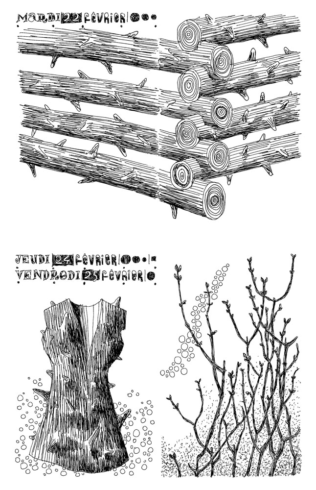 - 2011 (tout)- page 29