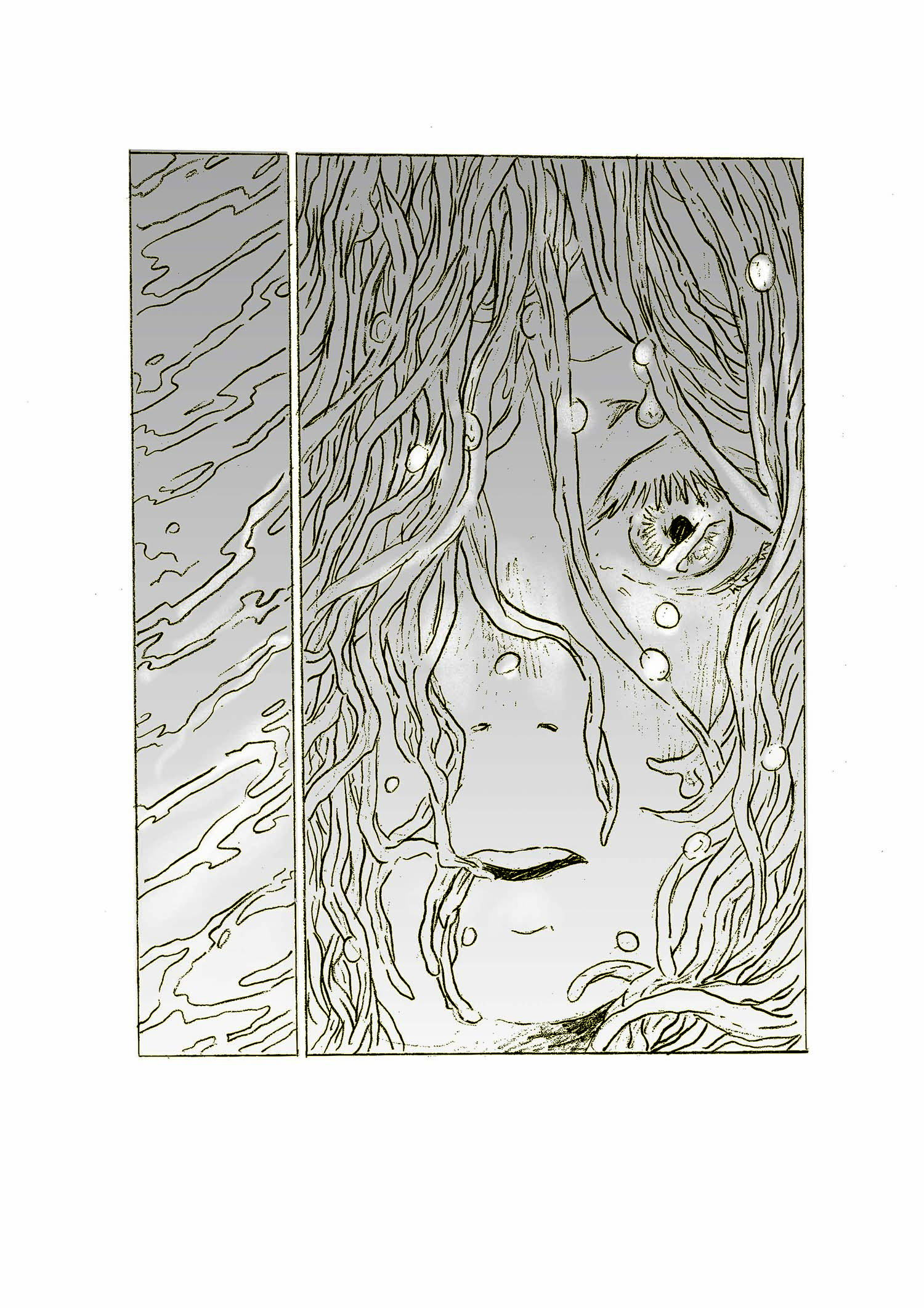 - The Shape of Water- page 23