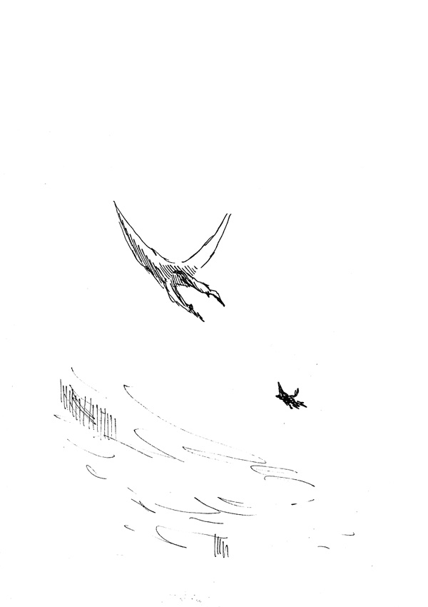 - L'Oiseau- page 23