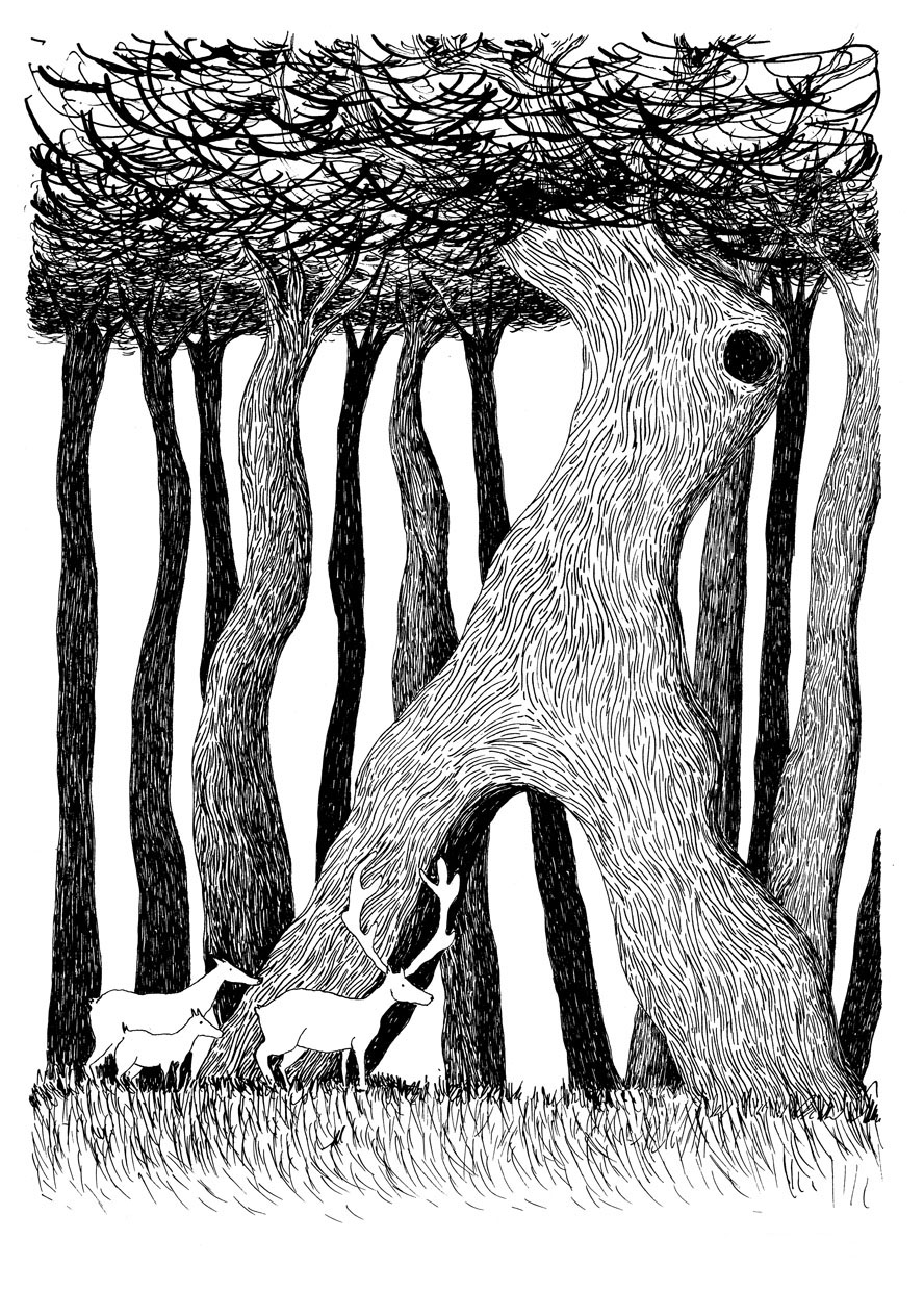 - L'ARBRE- page 24
