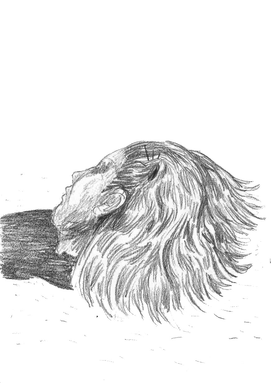 - Nubecitos- page 20