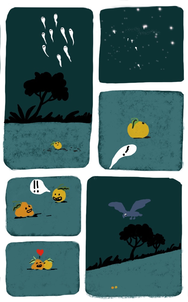 - tout roule...ou pas- page 10