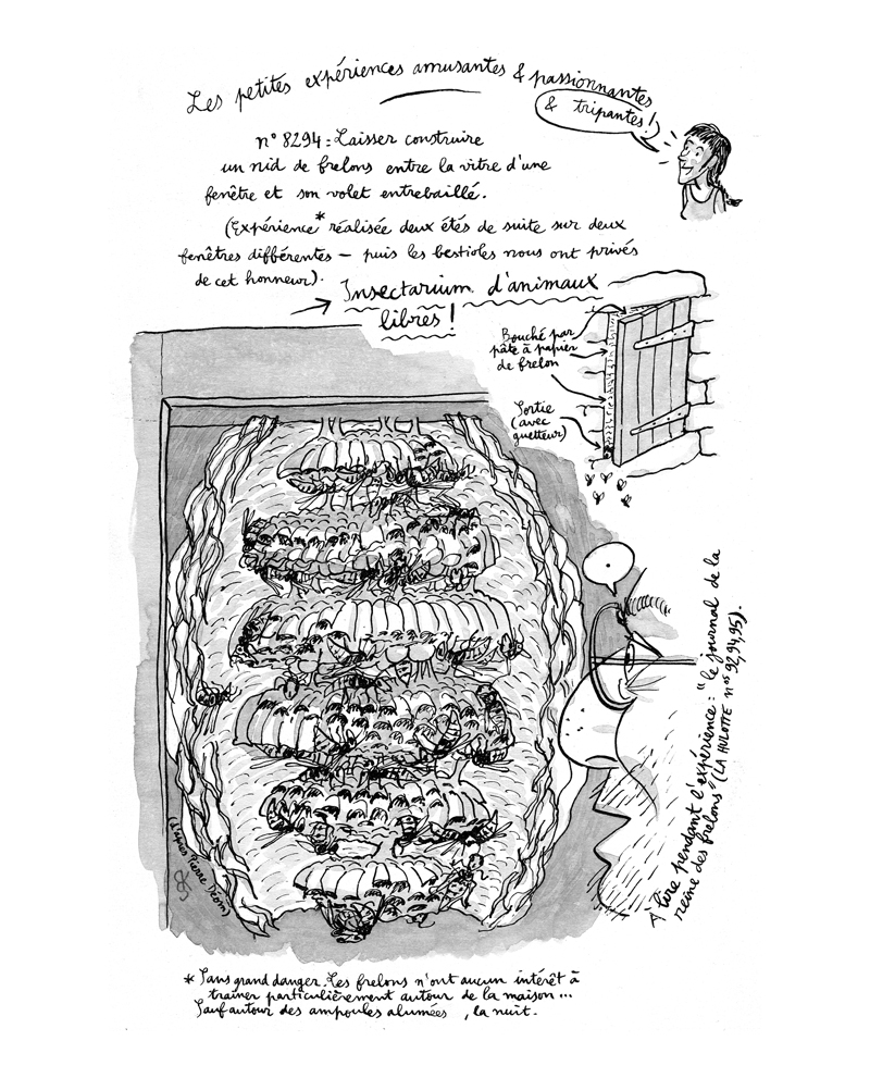 - L'ATTENTION AUX BÊTES - Carnet de cambrousse- page 12