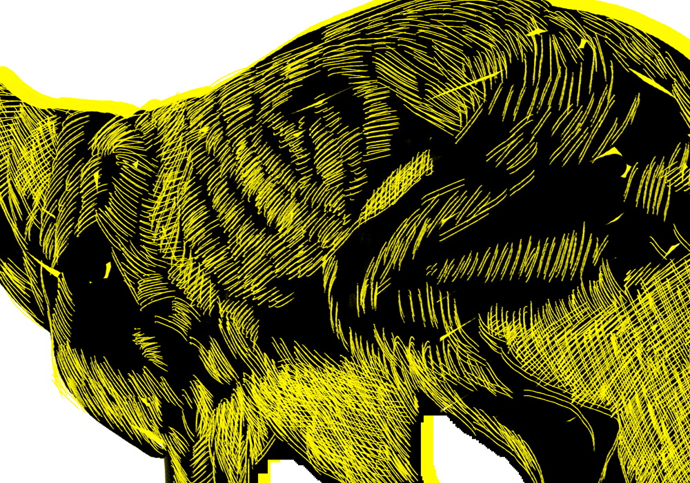 - кошмá- page 28