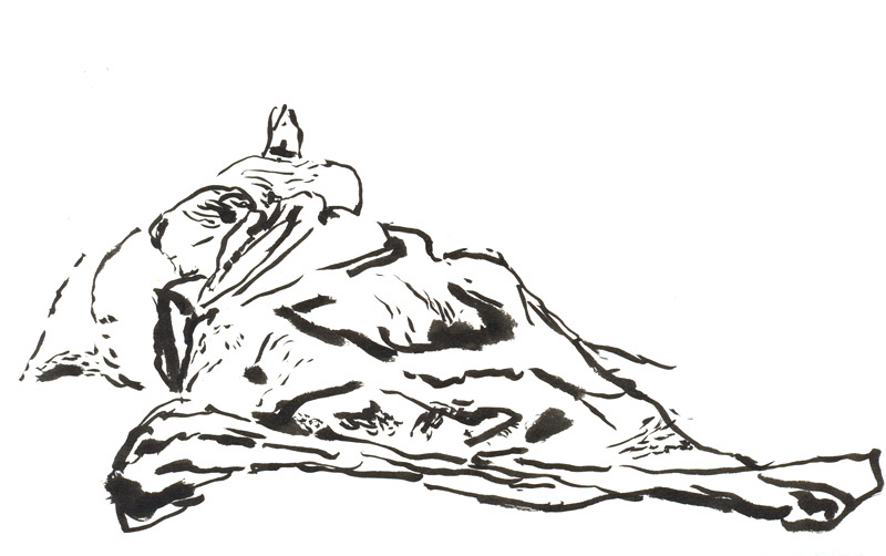 - LA DOUNE - page 13