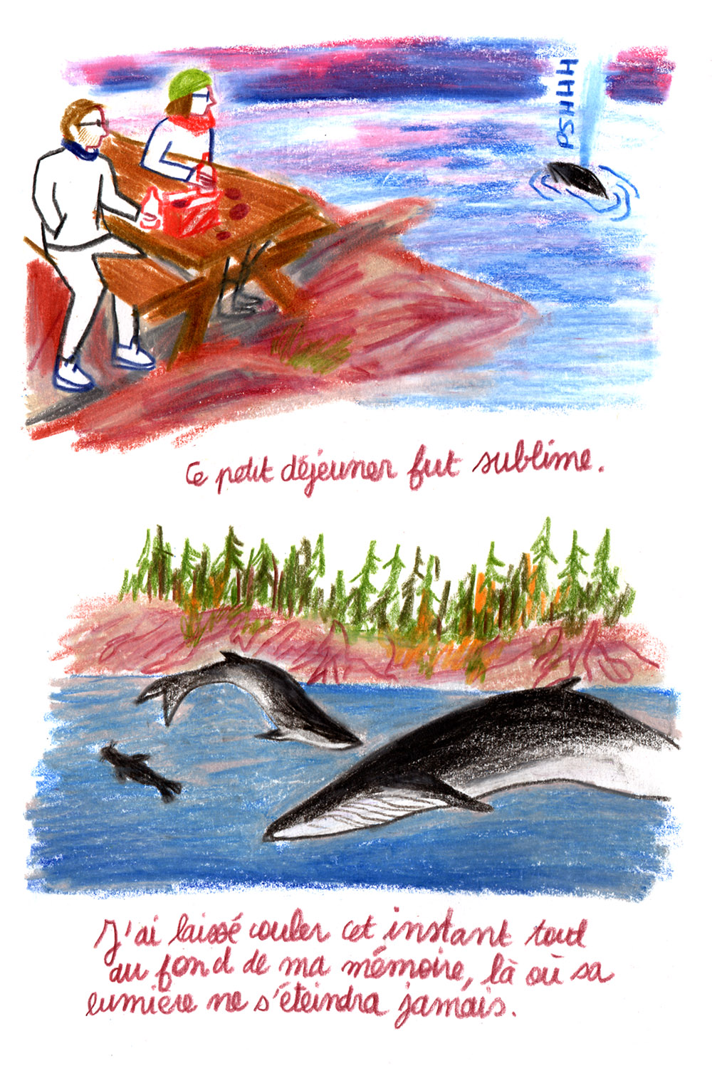 - L'aventure aux Amériques- page 35