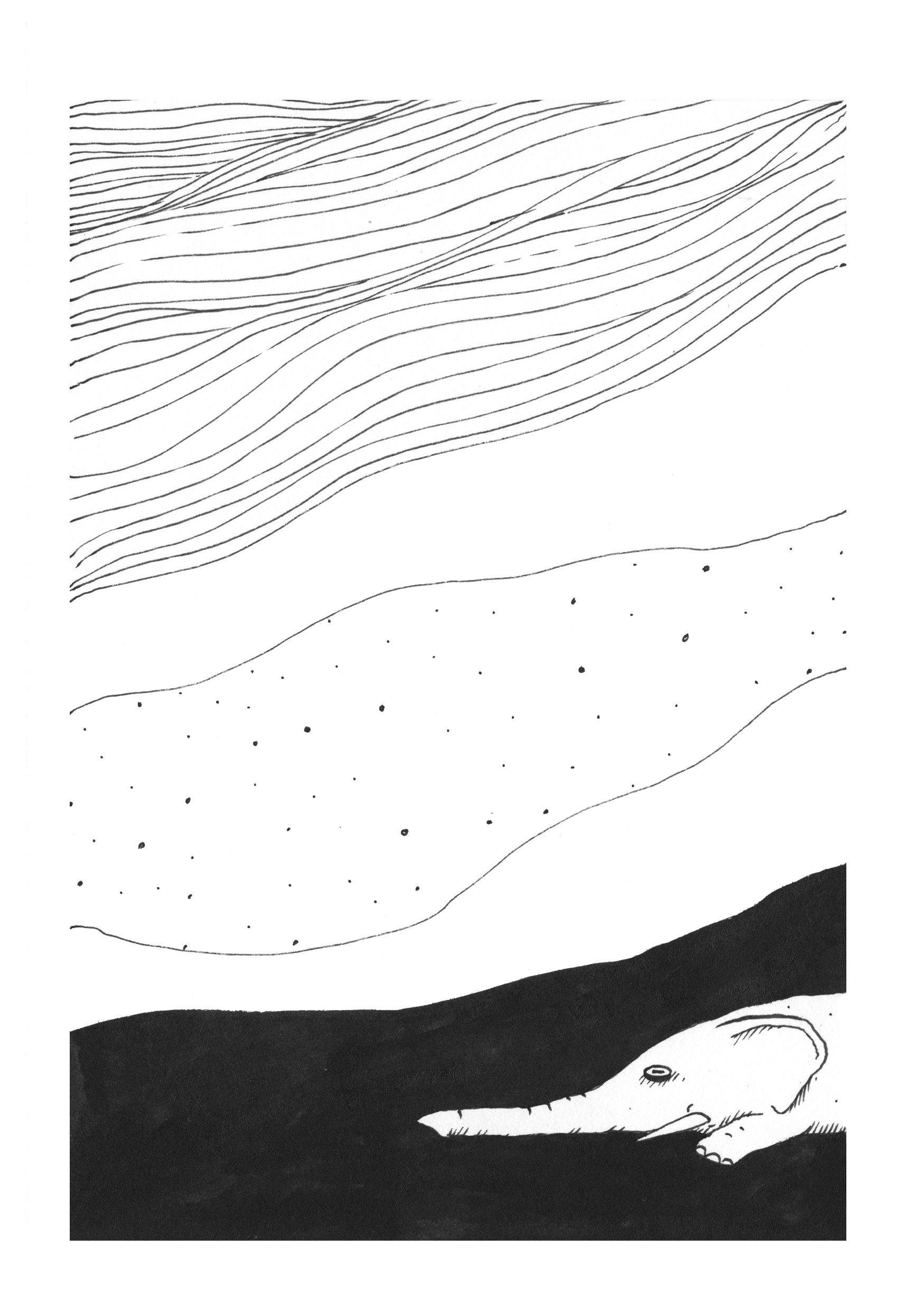 - Un éléphant se prélasse sur la plage, un oiseau passe...- page 3