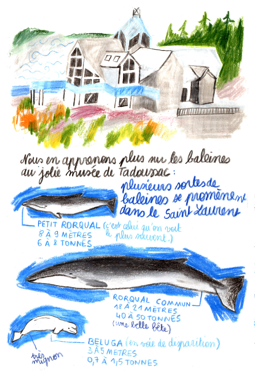 - L'aventure aux Amériques- page 41