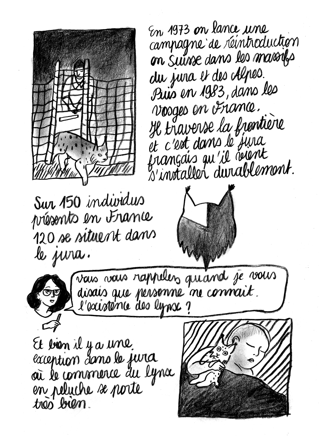 - Lynx en danger- page 5