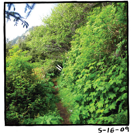 - My Life as a Bunny- page 310