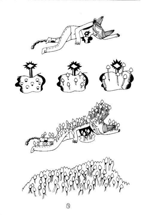 - Les lignes noires des mots de détail- page 5