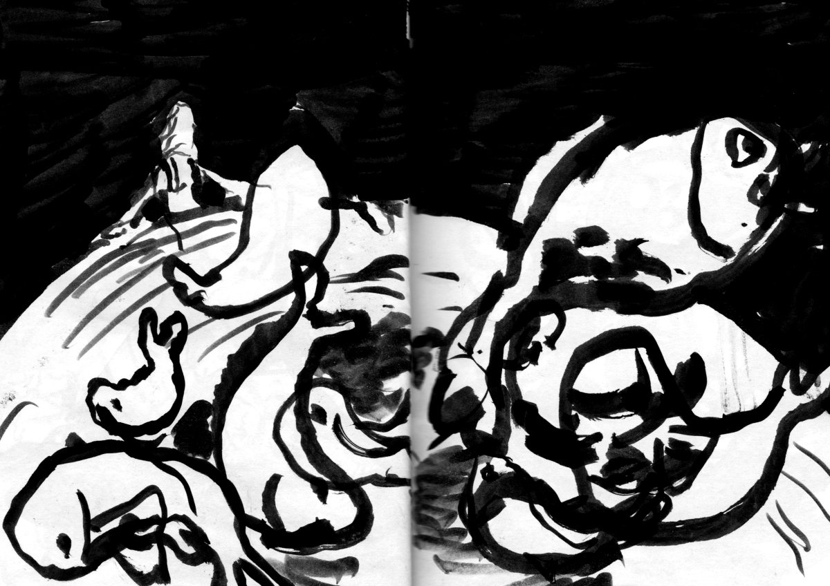 - Visiteurs- page 23