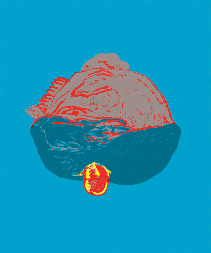 - Pure Guava- page 12