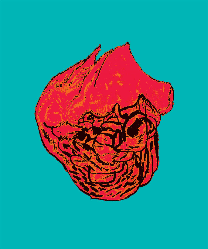 - Pure Guava- page 13