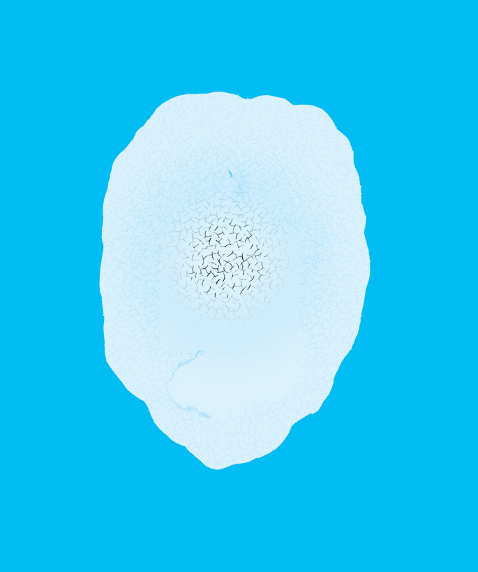 - Pure Guava- page 2