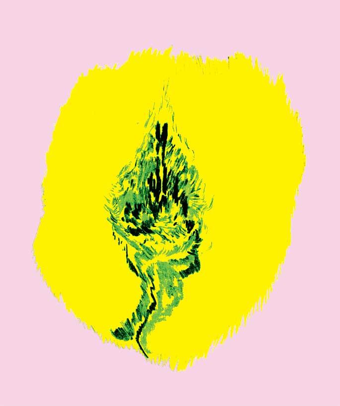 - Pure Guava- page 9