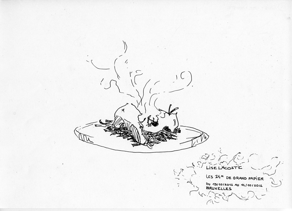 - Le grand observatoire- page 24