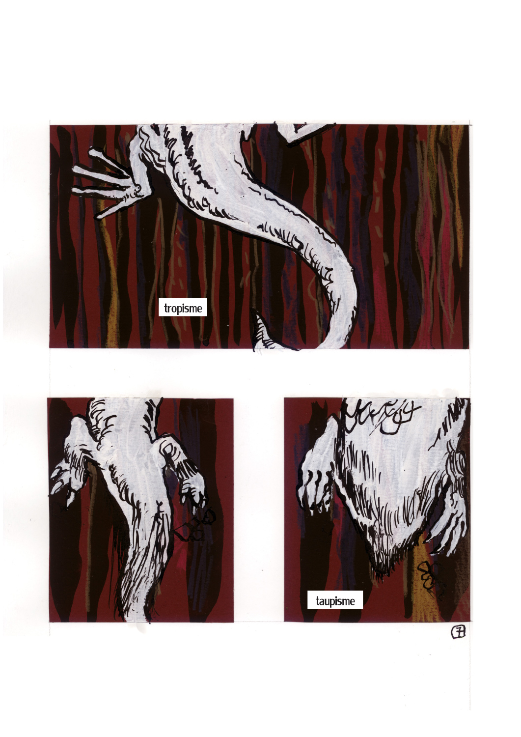 - Un lézard sous la terre- page 8